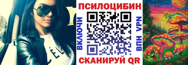 Галлюциногенные грибы Psilocybe Туймазы