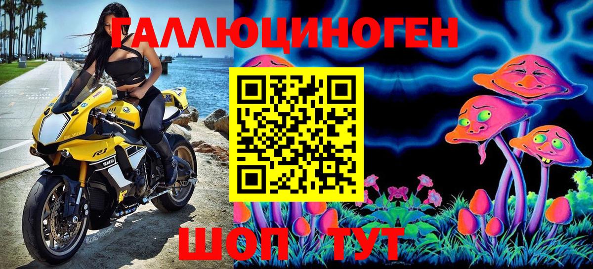 Галлюциногенные грибы Psilocybe Туймазы
